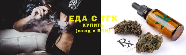 ешки Горняк