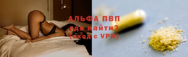 ешки Горняк