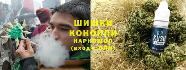 ешки Горняк