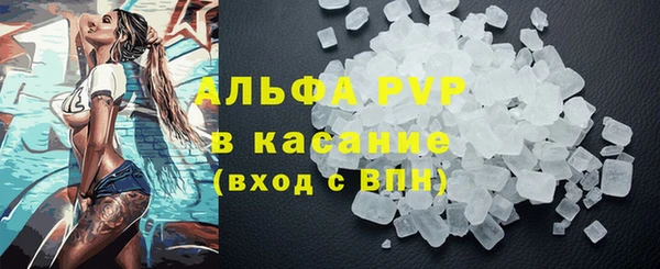 ешки Горняк