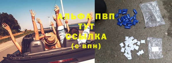 ешки Горняк