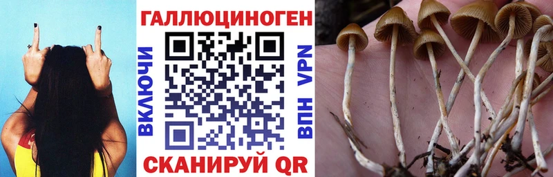 Галлюциногенные грибы мухоморы  Саратов 